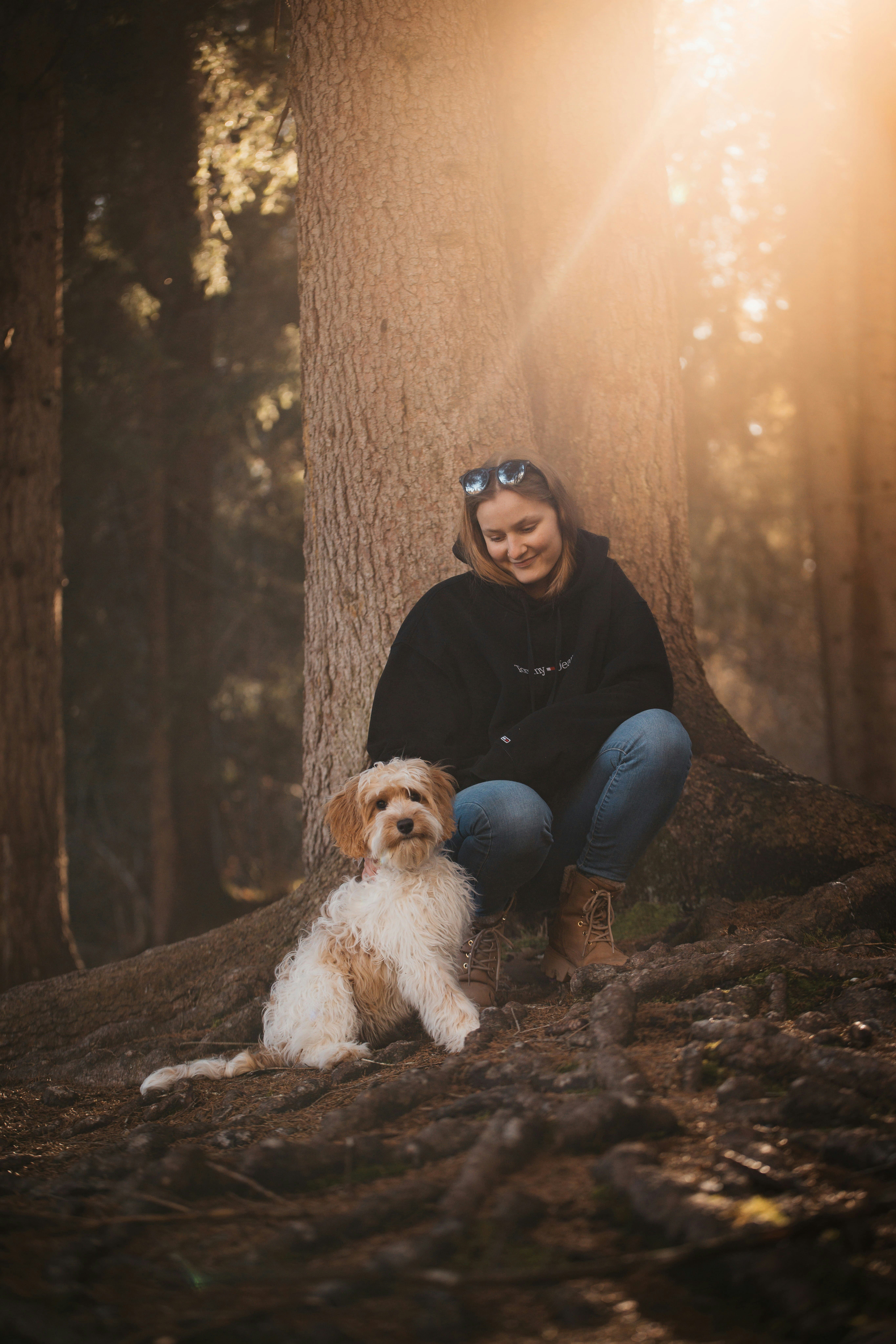 Une jeune femme et son petit chien assis au pied d'un arbre